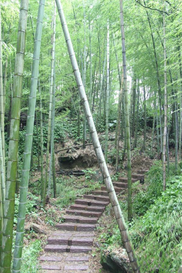 Hotel Arii 梅園 樓 觀 Jing 飯店 Fenchihu Exterior foto